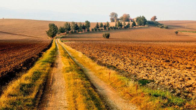 Обои картинки фото природа, дороги, поле, небо, италия, дом, деревья, дорога