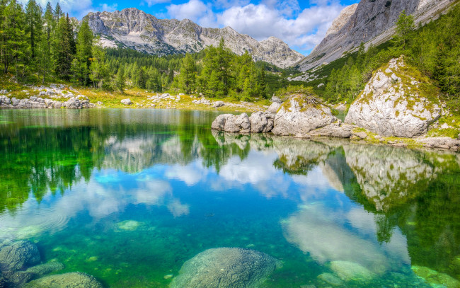 Обои картинки фото природа, реки, озера, деревья, камни, озеро, лес, горы, triglav, national, park, словения
