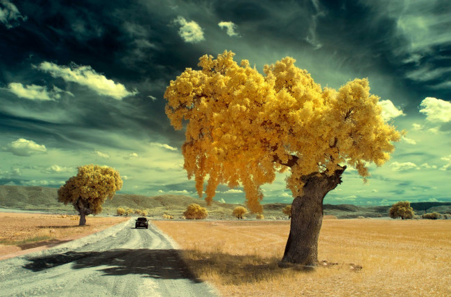 Обои картинки фото природа, дороги, дорога, машина, деревья, осень
