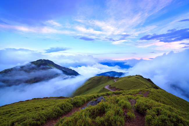 Обои картинки фото природа, горы, облака, небо, высота, туман, дорога, кусты, трава