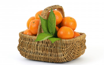 Картинка апельсин еда цитрусы цитрус