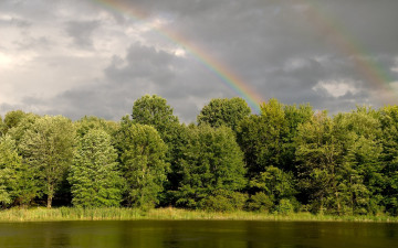 Картинка природа радуга река берег деревья дождь тучи