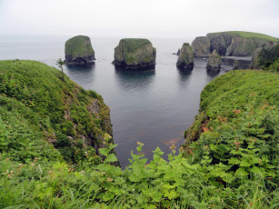 Картинка шикотан природа побережье россия скалы бухта курилы остров
