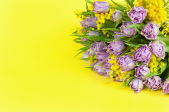 Картинка цветы букеты +композиции тюльпаны мимоза букет