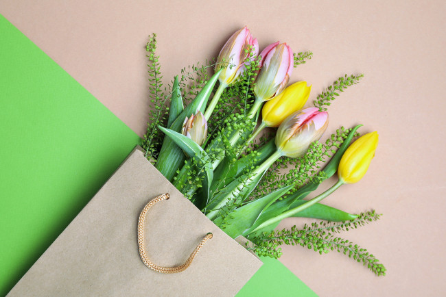 Обои картинки фото цветы, тюльпаны, пакет