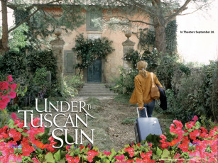 Картинка кино фильмы under the tuscan sun