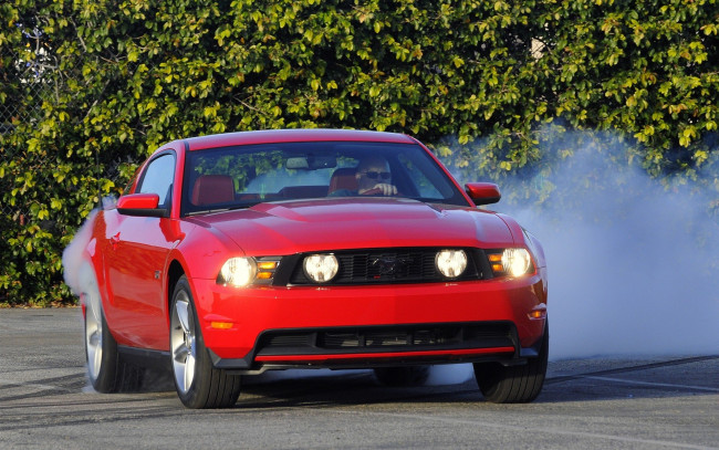 Обои картинки фото ford, mustang, автомобили