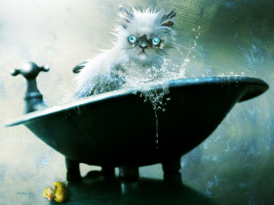 Картинка рисованные животные коты ванна кот