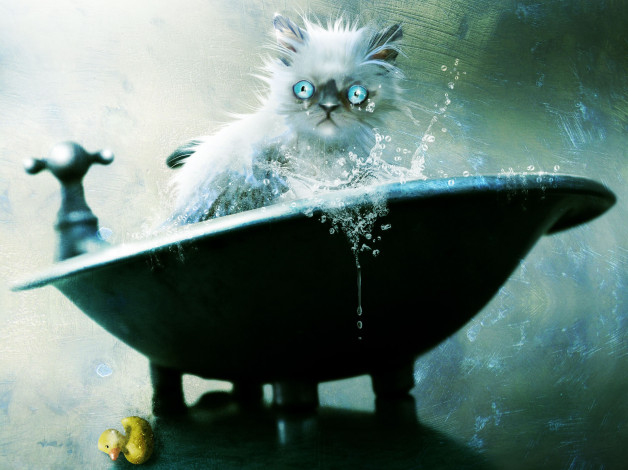 Обои картинки фото рисованные, животные, коты, ванна, кот