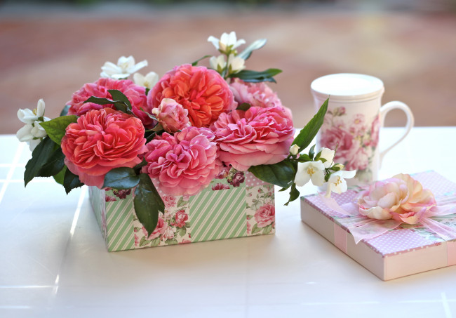 Обои картинки фото цветы, букеты, композиции, жасмин, чашка, коробочки, розы