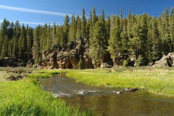 Картинка great basin national park невада природа реки озера лес ручей