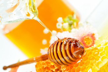 Картинка еда мёд варенье повидло джем цветы соты струйка