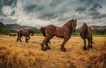 Картинка города памятники скульптуры арт объекты новая зеландия лошади