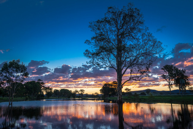 Обои картинки фото australia, природа, восходы, закаты, деревья, река, закат, австралия