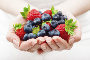 обоя еда, фрукты,  ягоды, голубика, клубника, ладони, ягоды, руки