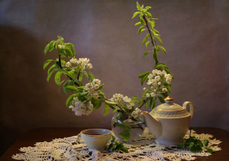 Картинка еда напитки +Чай цветение ветки чашка натюрморт груша чай чайник