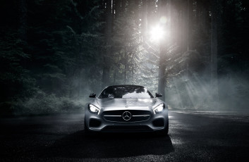 Картинка автомобили mercedes-benz gt s color amg silver 2016 sun dark forest front