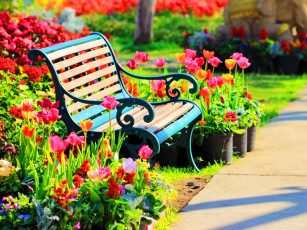 Картинка природа парк скамейка клумба цветы весна