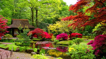 Картинка природа парк японский садик