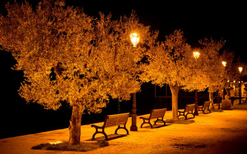 Картинка природа парк скамейки деревья аллея фонари вечер