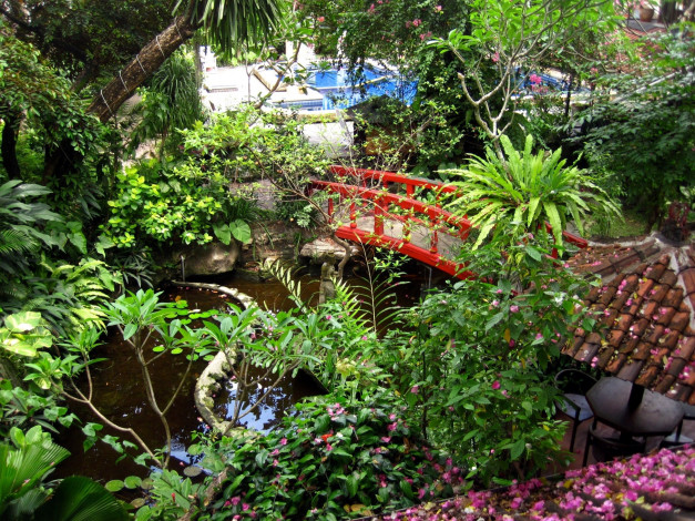Обои картинки фото природа, парк, японский, садик