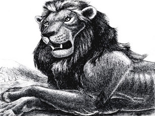 Картинка 295502 рисованное животные +львы лев