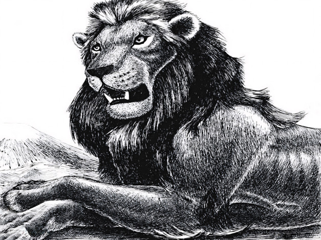 Обои картинки фото 295502, рисованное, животные,  львы, лев