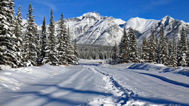 Обои картинки фото mount astley, banff np, alberta, природа, зима, mount, astley, banff, np