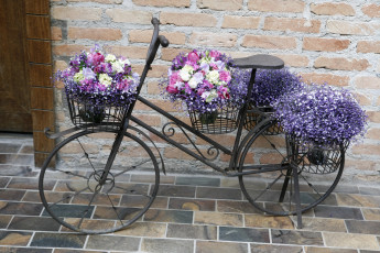Картинка цветы букеты композиции велосипед мостовая