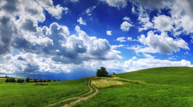 Обои картинки фото природа, поля, небо, облака, дерево