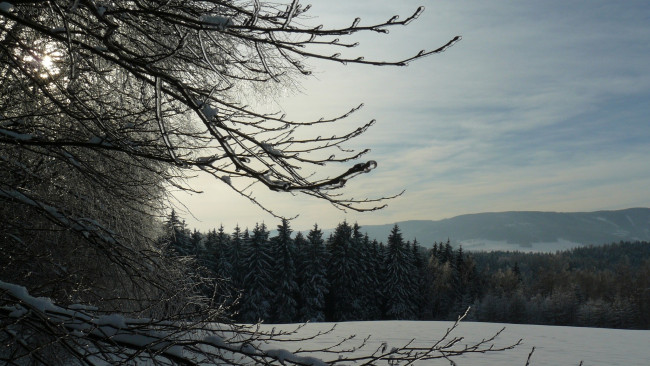 Обои картинки фото природа, зима, гора, деревья, снег