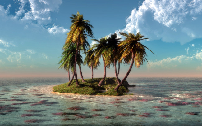 Обои картинки фото 3д, графика, nature, landscape, природа, пальмы, остров