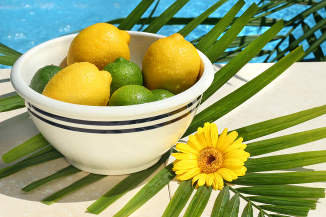 Обои картинки фото еда, цитрусы, зеленый, желтый, лвймы, миска, лимоны