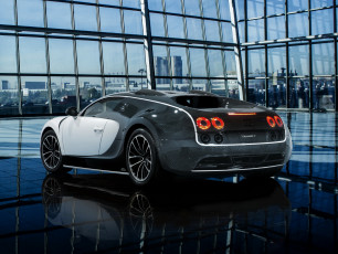 обоя 2014 bugatti veyron 16, 4 vivere , mansory, автомобили, bugatti, тюнинг, vivere, veyron