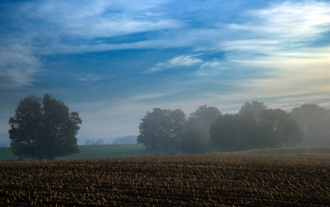Обои картинки фото природа, поля, утро, туман, пейзаж, облака