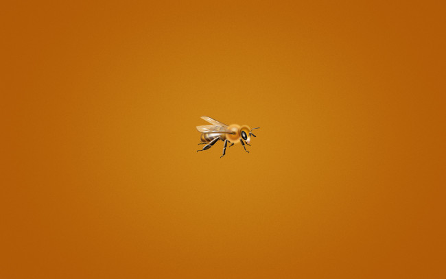 Обои картинки фото рисованные, минимализм, bee, пчелка, мелкая, оранжевый, фон
