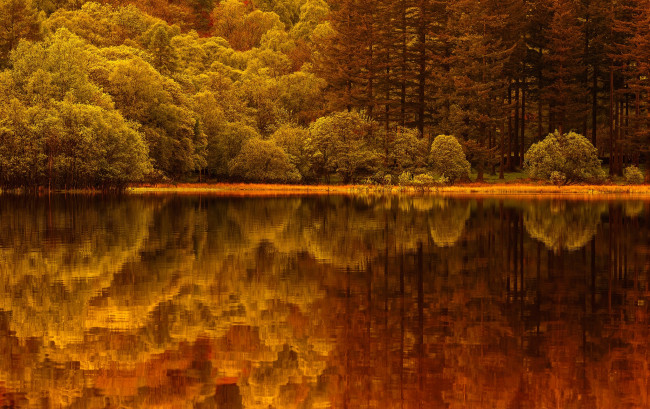 Обои картинки фото природа, реки, озера, озеро, лес, отражение