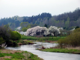Картинка природа реки озера весна деревья река