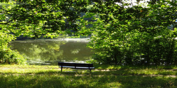 Картинка природа парк пруд скамейка деревья лето покой