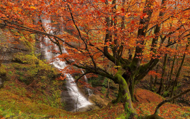 Обои картинки фото природа, водопады, скала, осень, лес, поток
