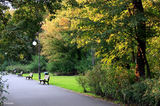 Обои картинки фото природа, парк, осень, скамейки, фонарь, аллея