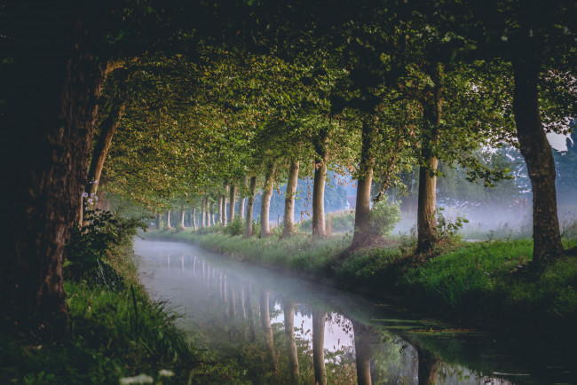 Обои картинки фото природа, реки, озера, деревья, канал