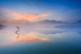 Картинка природа реки озера утро озеро горы рассвет дерево