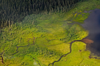 Картинка природа пейзажи вид сверху река лес болота