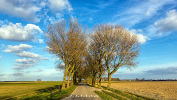 Картинка природа дороги поле дорога деревья весна