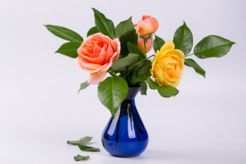 Картинка цветы розы ваза букет