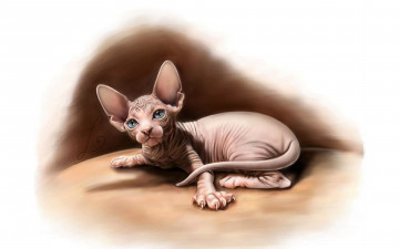 Картинка рисованное животные +коты котенок сфинкс