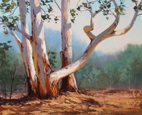 Картинка рисованные graham gercken природа деревья ствол