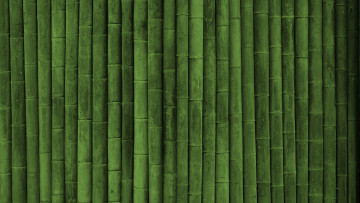 Картинка разное текстуры бамбук