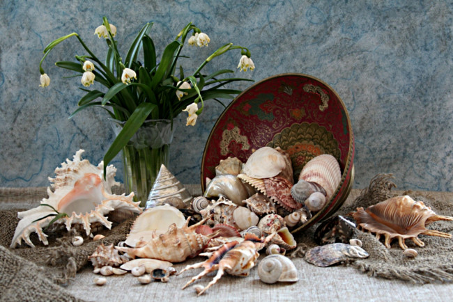 Обои картинки фото разное, ракушки, кораллы, декоративные, spa, камни, букет, миска